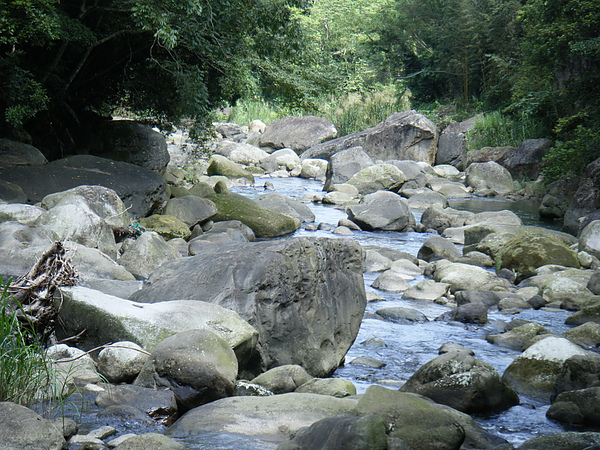 護魚步道