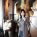 棕熊博物館