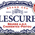 LOGO-LESCURE-2016.png