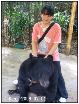 林小妹騎黑熊