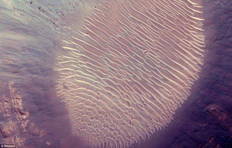 Fingerprint on Mars