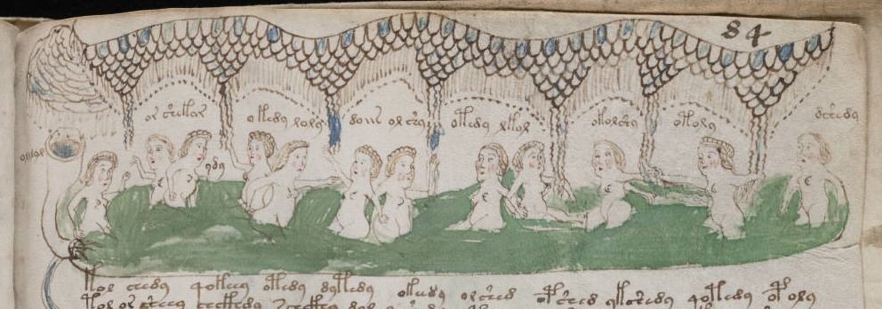 voynich_f84rTop voynich_f84rTop
