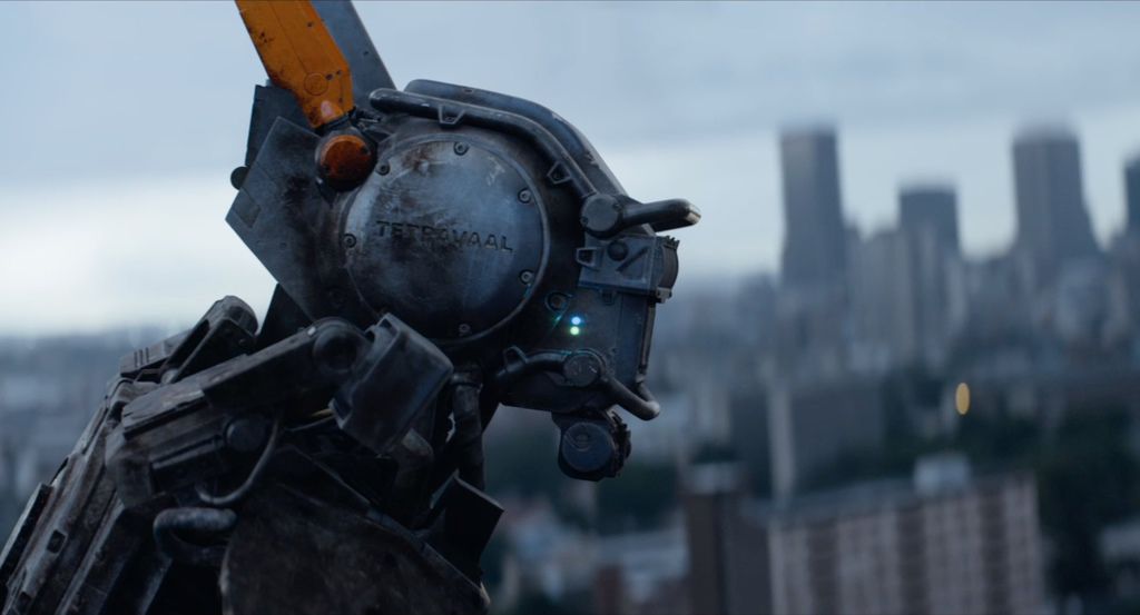 chappieheader