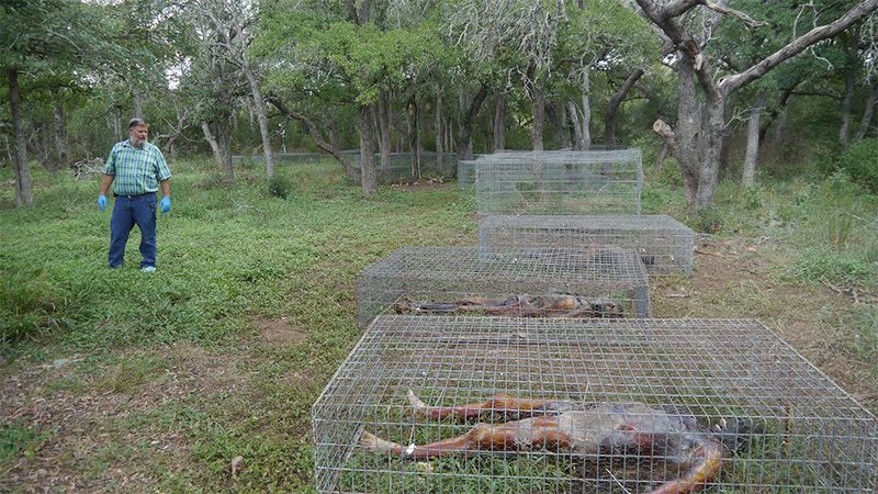 freeman-ranch-body-farm-8