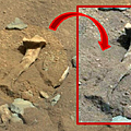 THIGH-BONE-MARS1