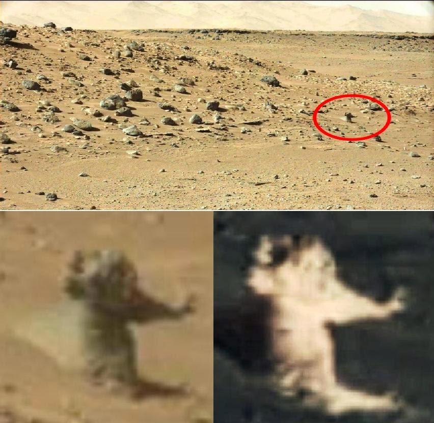 alien on Mars 2014