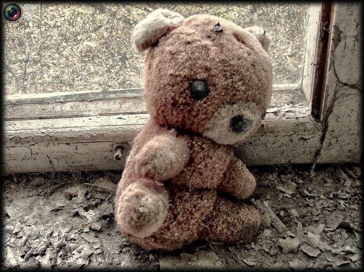 Teddy bear