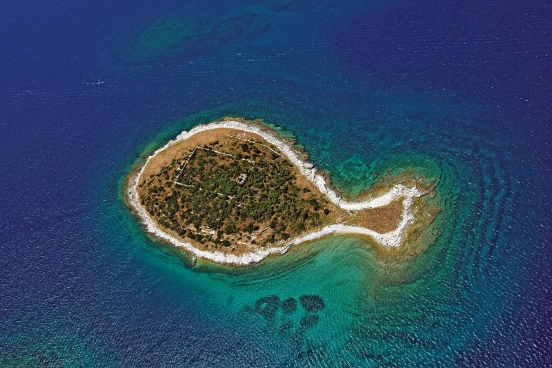 Fish Island