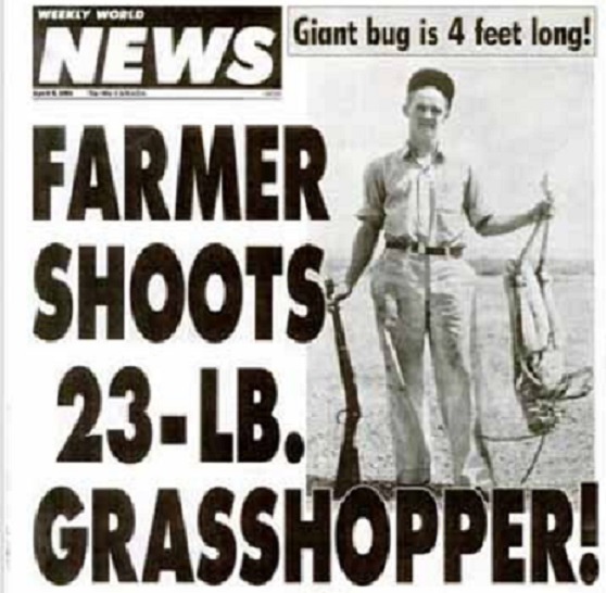 grasshopper50