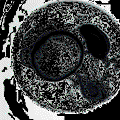 88a4rkj6oaen1voy_gif1200