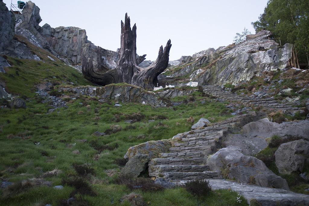 Ahch-To temple-of-the-jedi-tree