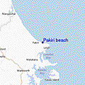 Pakiribeach_10