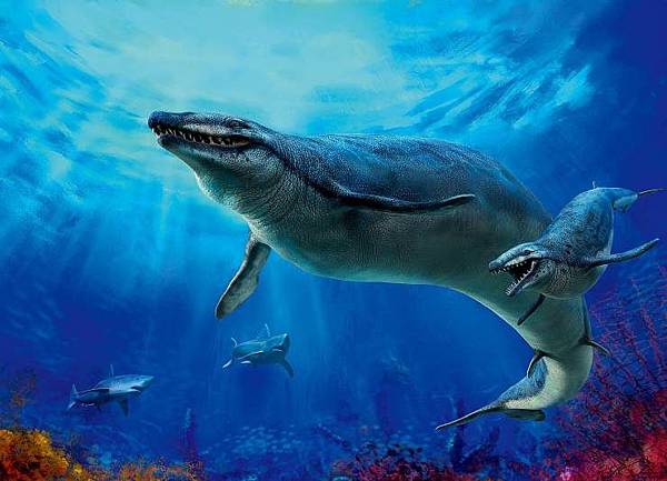 Basilosaurus