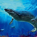 Basilosaurus