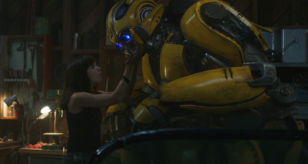 Bumblebee_51