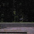 railgun test.gif