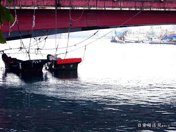 和平橋下小船.jpg