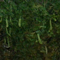 DSCN2290.JPG