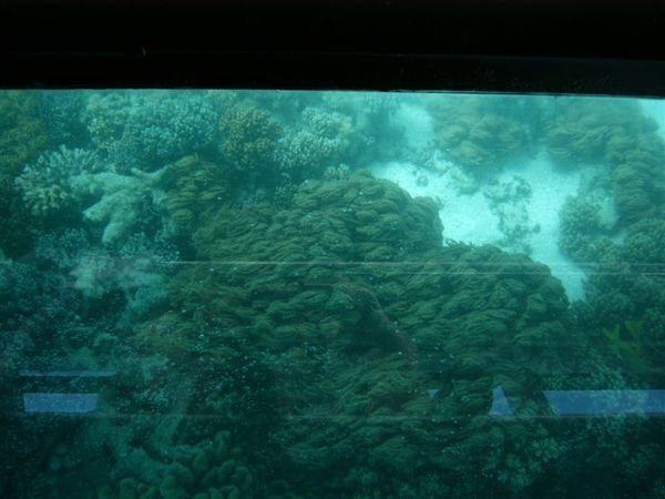 照片 050.jpg