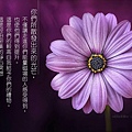09-01.3紫水晶-初階一.jpg