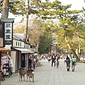 20101220 Nara 200.JPG