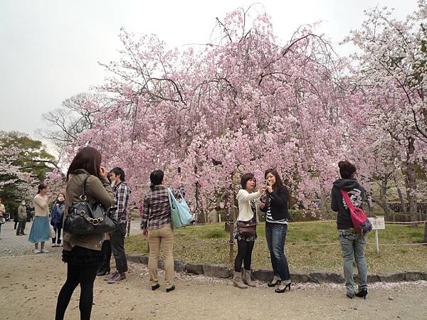 20110411 清水寺 176.JPG