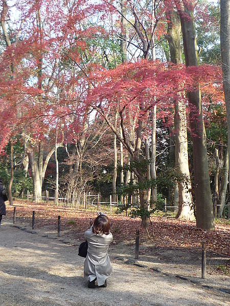 20101220 Nara 088.JPG