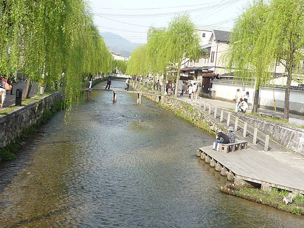 20110410  哲學之道&白川 256.JPG