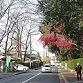 20101220 Nara 070.JPG