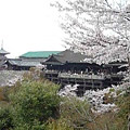 20110411 清水寺 129.JPG