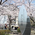 20110410  哲學之道&白川 124.JPG