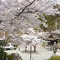 20110411 清水寺 078.JPG