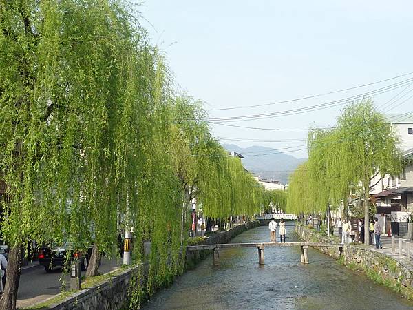 20110410  哲學之道&白川 259.JPG