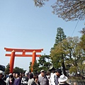 20110410  哲學之道&白川 248.JPG