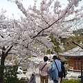 20110411 清水寺 079.JPG