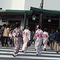 20110410  哲學之道&白川 333.JPG