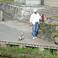 20110410  哲學之道&白川 257.JPG