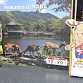 20101220 Nara 279.JPG