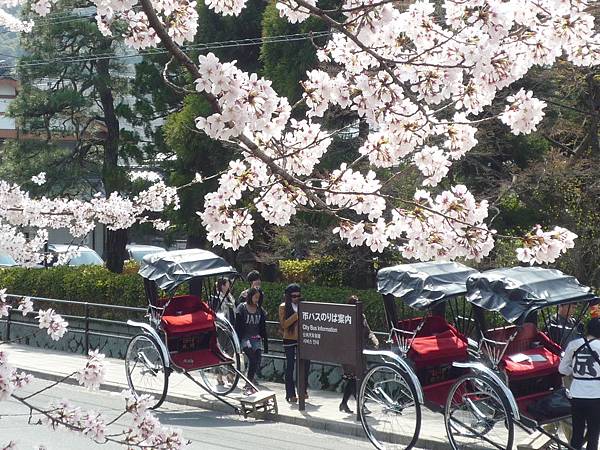 20110410  哲學之道&白川 081.JPG