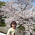 20110410  哲學之道&白川 009.JPG