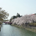 20110410  哲學之道&白川 242.JPG