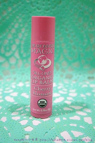 SAM_2021_副本1_副本