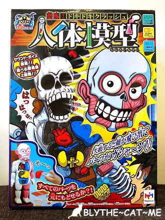 人體模型 (1).JPG 人體模型 (1).JPG