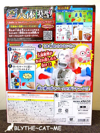 人體模型 (3).JPG 人體模型 (3).JPG