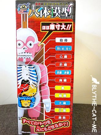 人體模型 (4).JPG 人體模型 (4).JPG