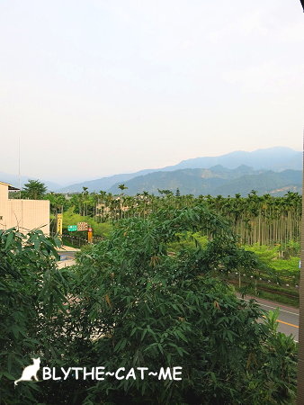 兩腳詩集 (35).JPG