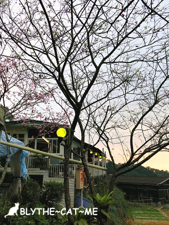 清泉山莊 (42).JPG 清泉山莊 (42).JPG
