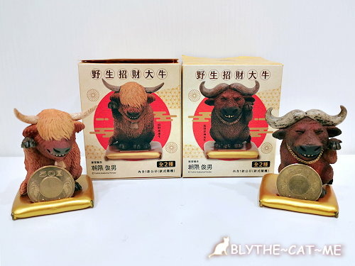 7 11專賣 喜年來朝隈俊男聯名公仔蛋捲禮盒x朝隈俊男招財野生大貓開箱 新年熱門招財伴手禮 複製凱特 痞客邦