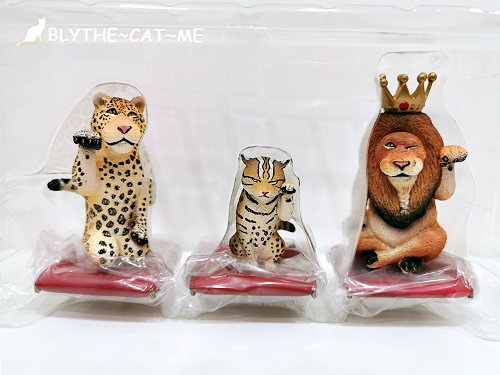 7 11專賣 喜年來朝隈俊男聯名公仔蛋捲禮盒x朝隈俊男招財野生大貓開箱 新年熱門招財伴手禮 複製凱特 痞客邦