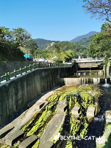 北投社三層崎花海 (3).jpg